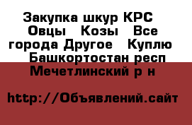 Закупка шкур КРС , Овцы , Козы - Все города Другое » Куплю   . Башкортостан респ.,Мечетлинский р-н